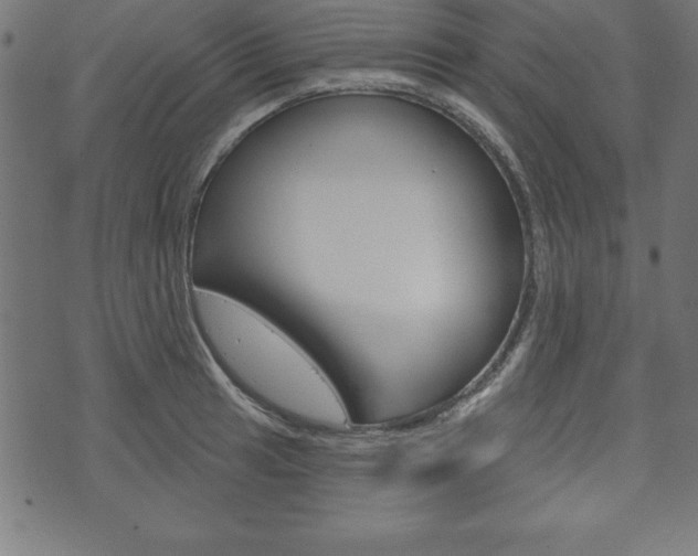 X0000074011041200608211038