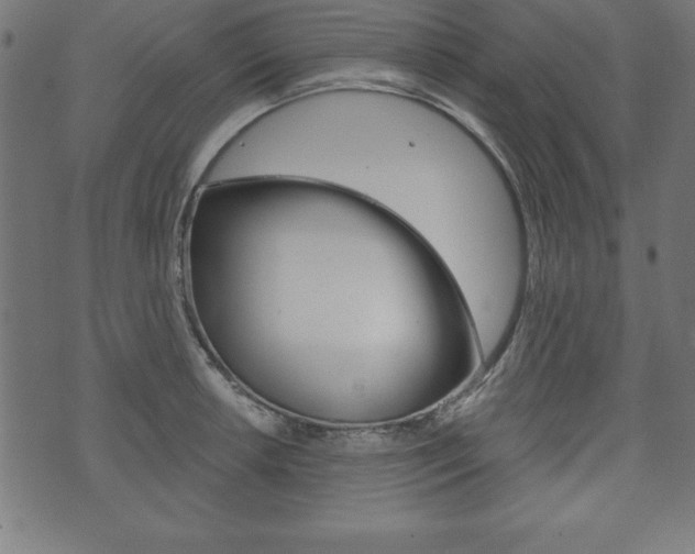 X0000074011042200608211038