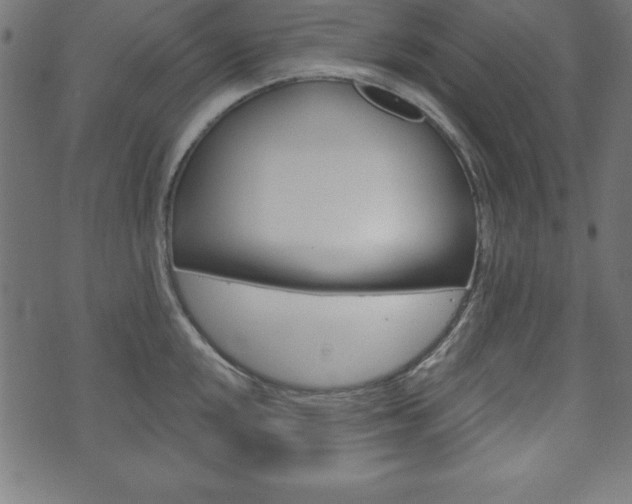 X0000074011048200608211038