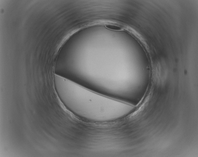 X0000074011049200608211038