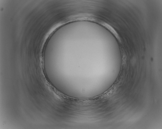 X0000074011051200608211038