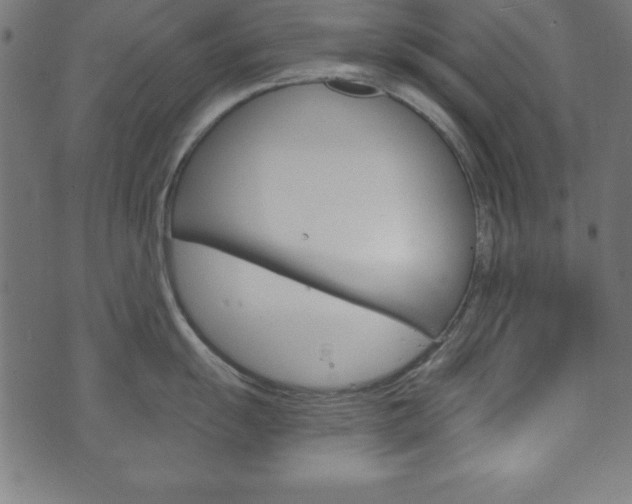 X0000074011055200608211038