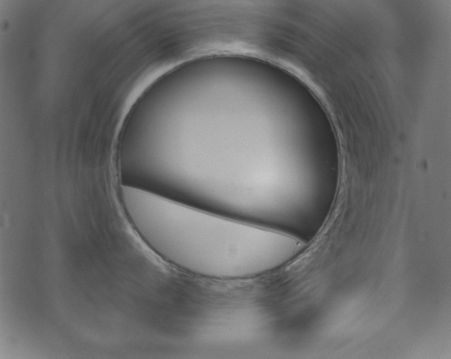 X0000074011056200608211038