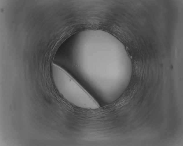 X0000074011057200608211038