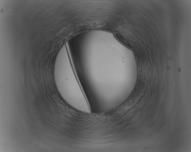 X0000074011058200608211038