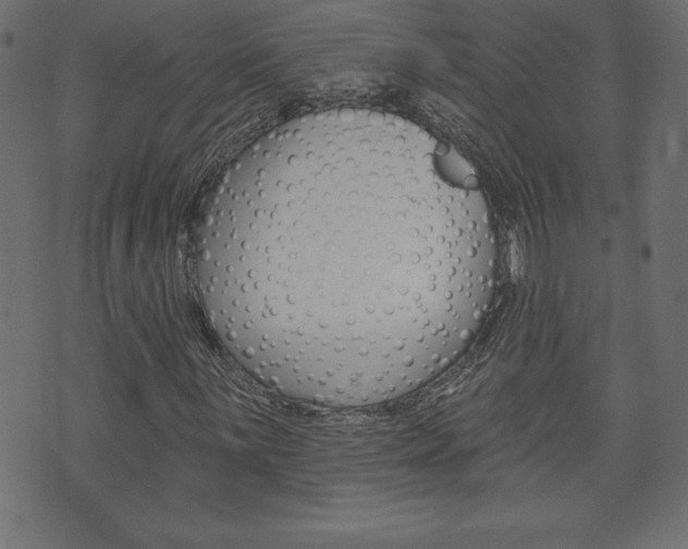 X0000074011059200608211038