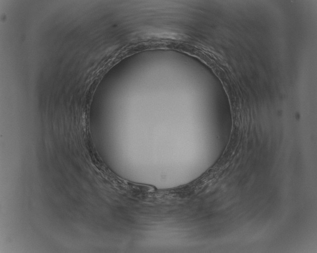 X0000074011061200608211038