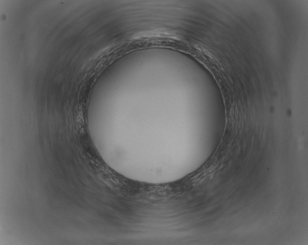 X0000074011062200608211038