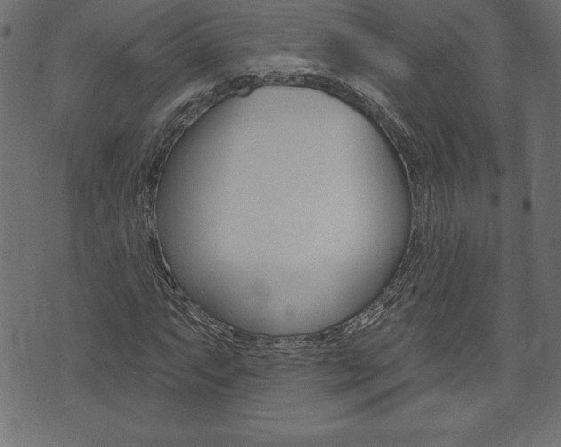 X0000074011063200608211038