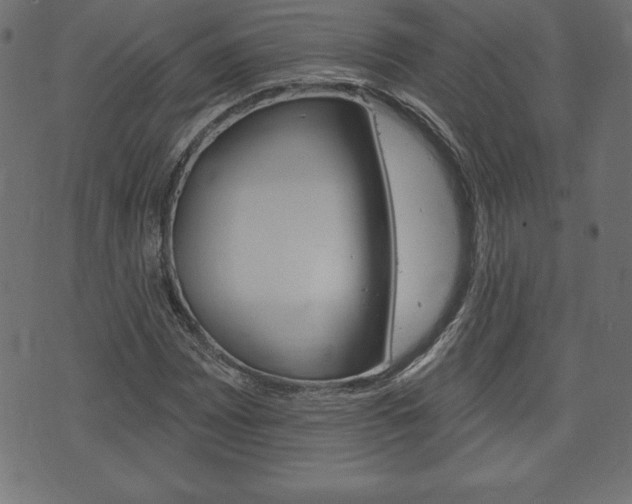 X0000074011065200608211038