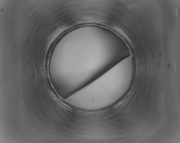 X0000074011068200608211038