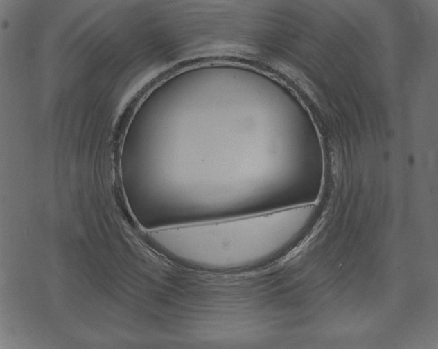 X0000074011069200608211037