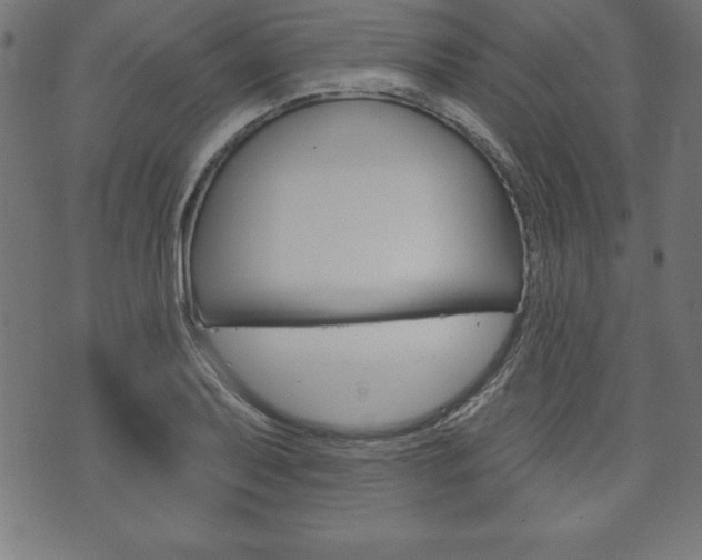 X0000074011079200608211037