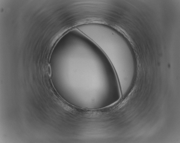 X0000074011081200608211037