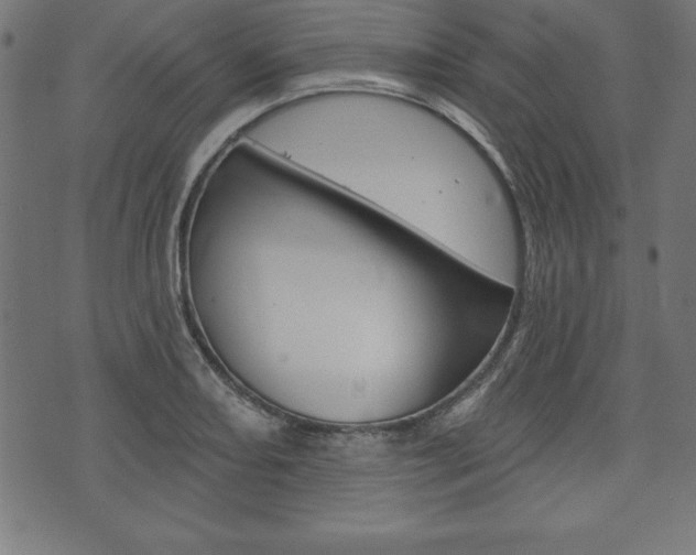 X0000074011082200608211037