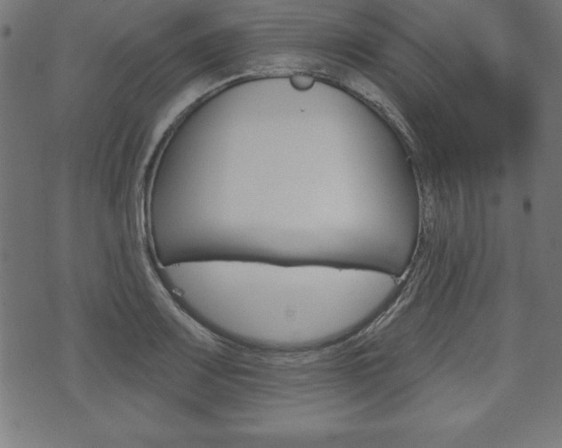 X0000074011083200608211037