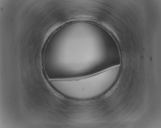 X0000074011085200608211037