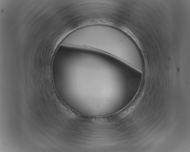 X0000074011089200608211037