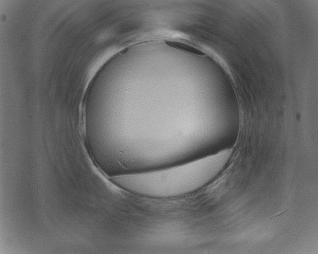 X0000074011103200608211037