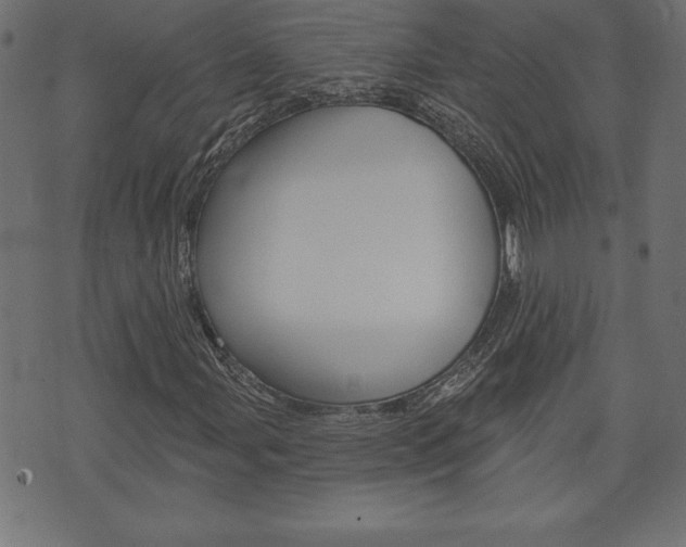 X0000074011107200608211036