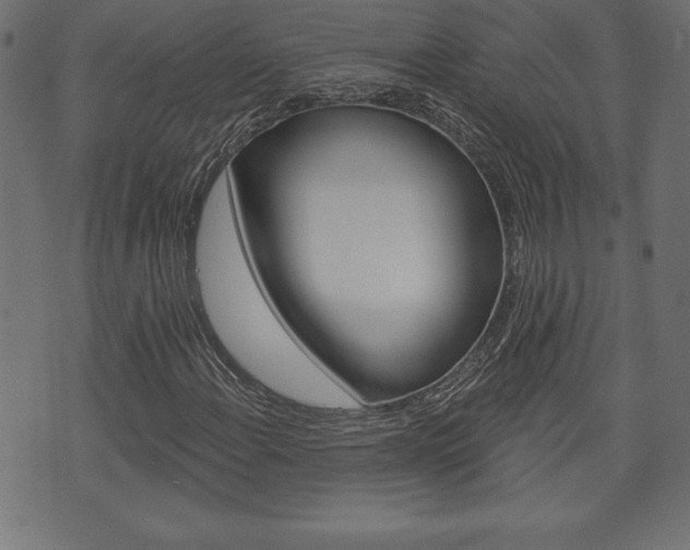 X0000074011108200608211036
