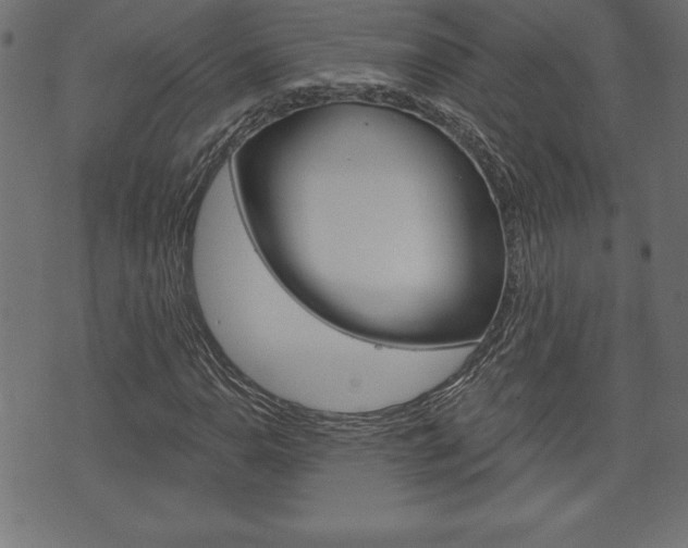 X0000074011110200608211036