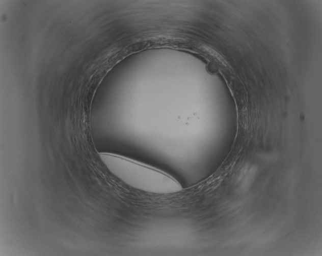 X0000074011111200608211036