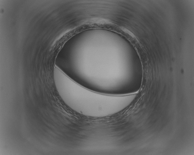 X0000074011112200608211036