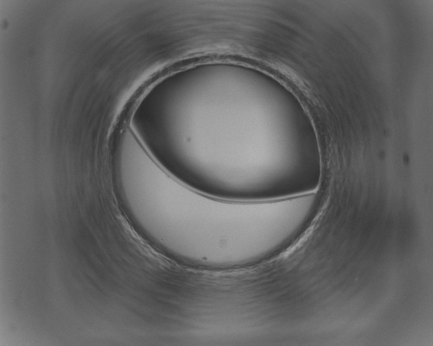 X0000074011118200608211036