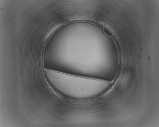 X0000074011129200608211037
