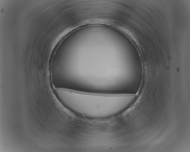 X0000074011133200608211037