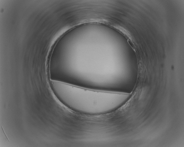 X0000074011135200608211037