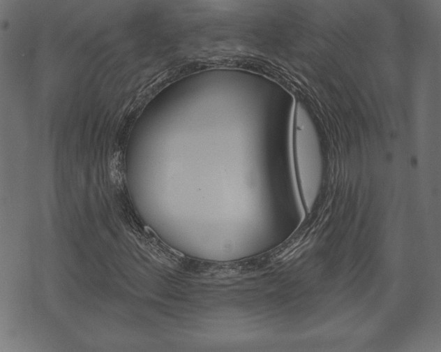 X0000074011156200608211036