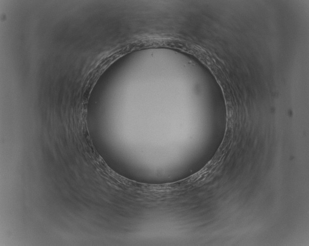 X0000074011157200608211036