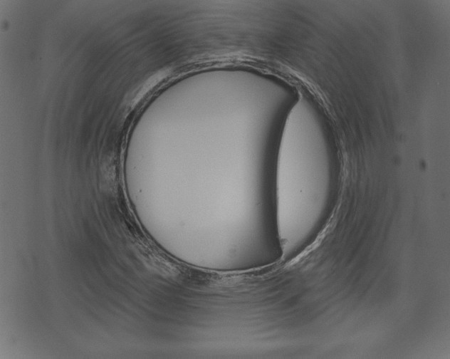 X0000074011162200608211036