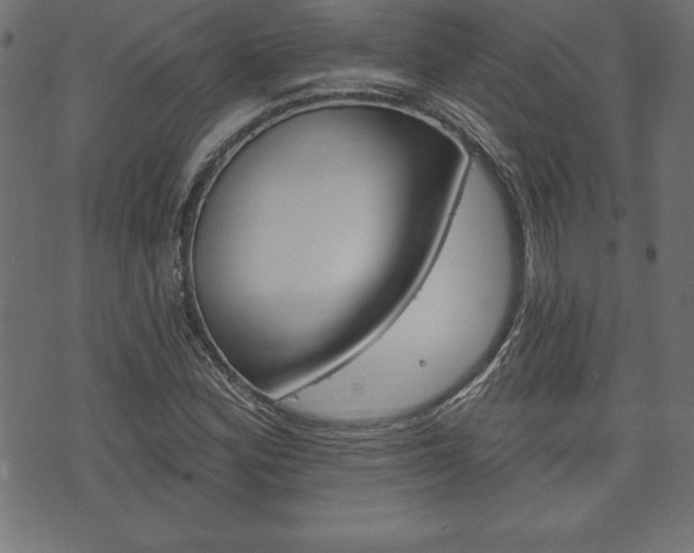X0000074011164200608211036