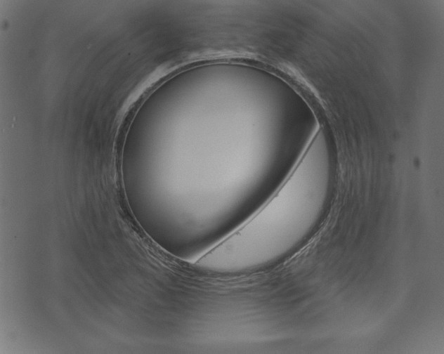 X0000074011173200608211036