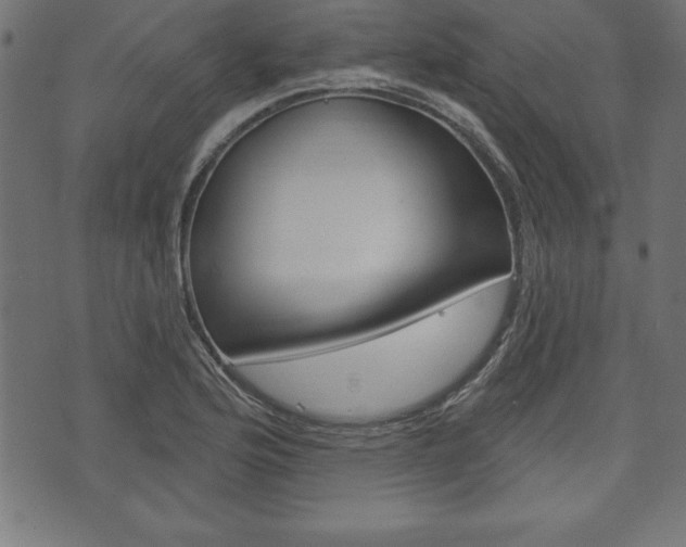 X0000074011176200608211036