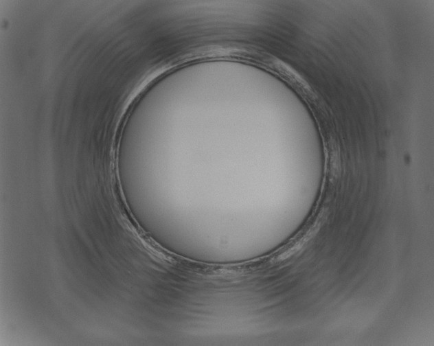 X0000074011178200608211036