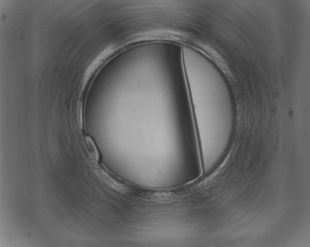 X0000074011180200608211036