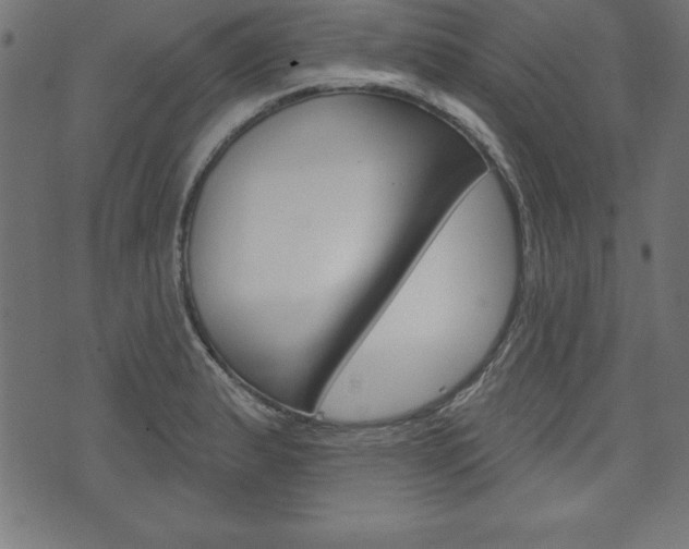 X0000074011183200608211036