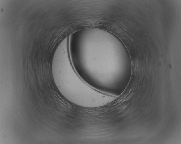 X0000074011202200608211034