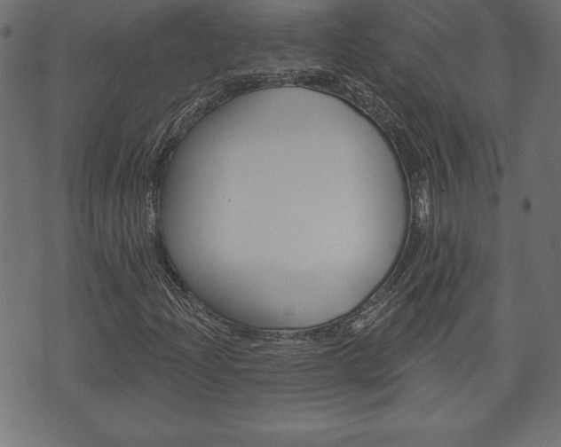 X0000074011204200608211035