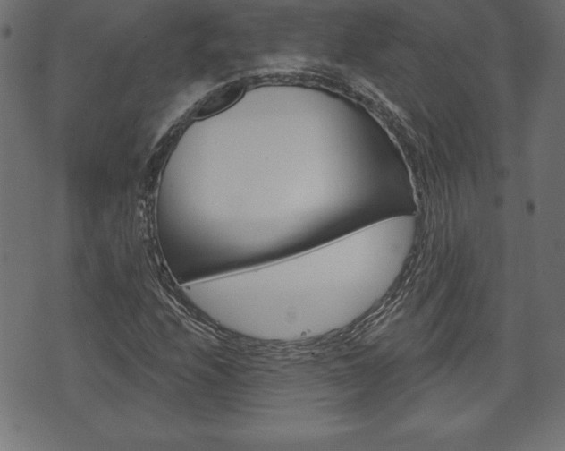 X0000074011208200608211035