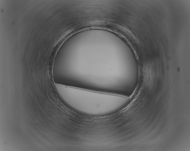 X0000074011209200608211035