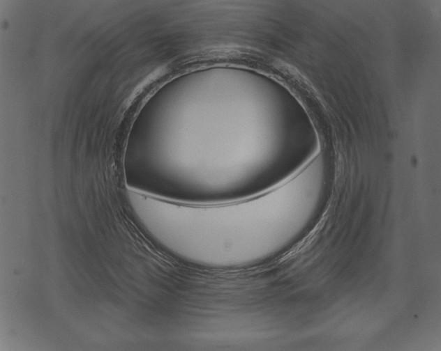 X0000074011210200608211035