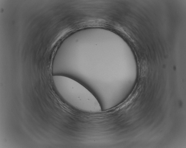 X0000074011211200608211035