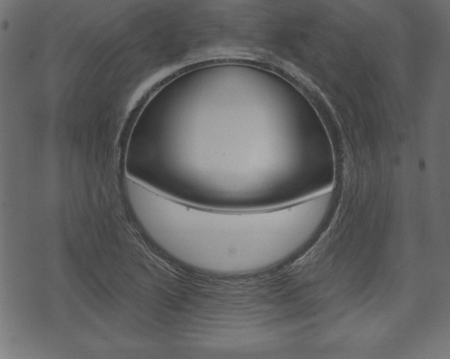 X0000074011222200608211035