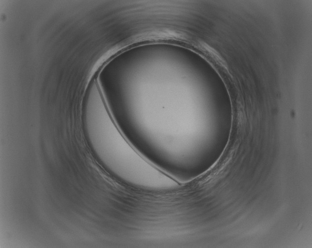 X0000074011226200608211035