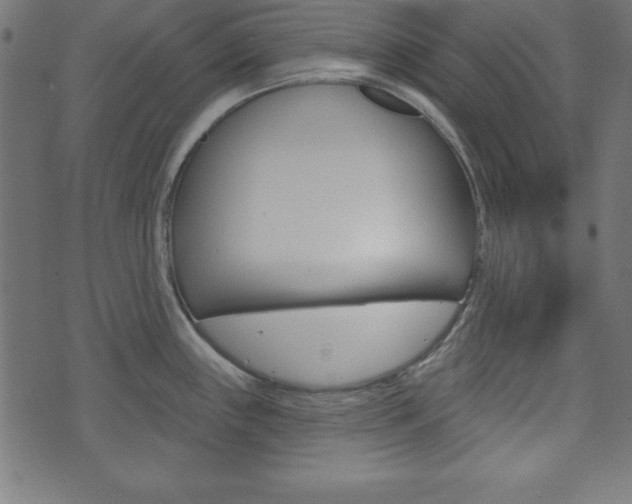 X0000074011243200608211035